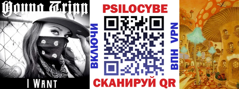 Купить  Киренск  Галлюциногенные грибы прущие грибы 