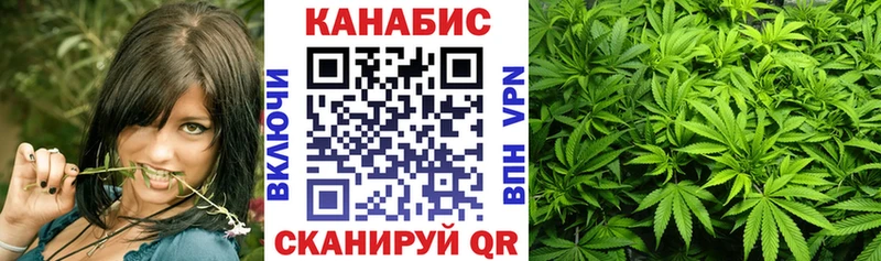 Купить закладки  Киренск  Бошки Шишки план 